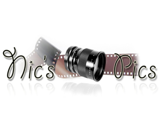 Nics Pics Logo Design