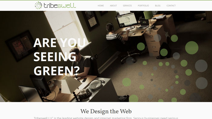 tribeswell.com modern site design