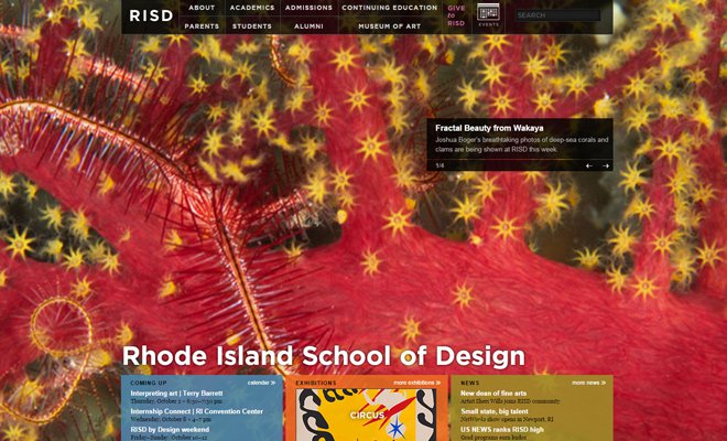 risd rhode island school of design
