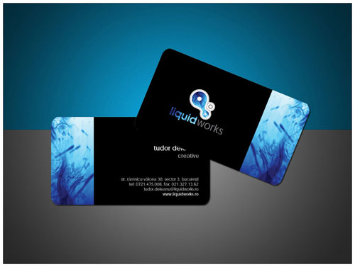 Sự tinh tế trong 45 business card tròn 4 góc LiquidWorks Round Corners Business Card