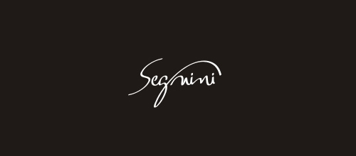 Elegant Signature Logo Designs Segnini