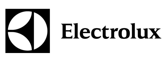 thiet ke logo cong ty electrolux 2