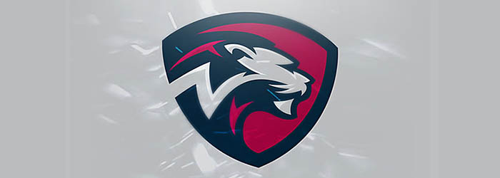 19 illustration logo thú vị truyền cảm hứng sáng tạo cho bạn NYLions thiet ke logo illutration dep