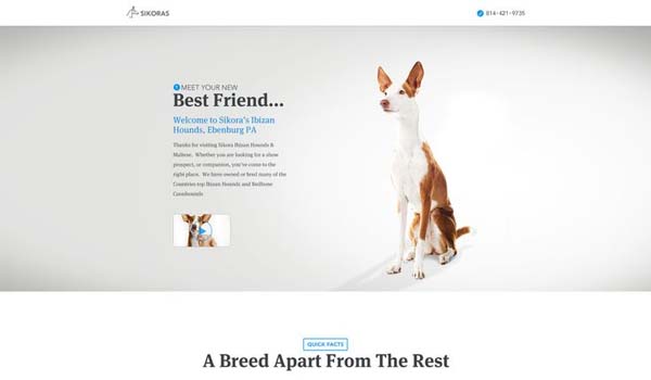 Sức quyến rũ của 45+ website thân thiện người dùng Marketing Experience Challenge - Sikora Ibizan Hounds by Brandon Termini for Handsome
