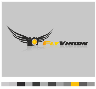 Fly vision thiet ke logo dep