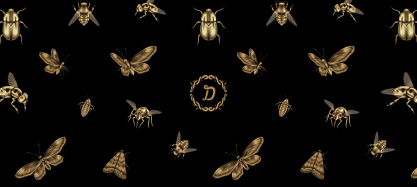 Những ví dụ tuyệt vời về thiết kế bộ nhận diện thương hiệu cá nhân image_18_daniel_lasso_casas thiet ke bo nhan dien thuong hieu ca nhan