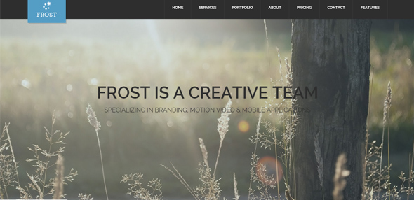 Frost---Multipurpose-One-Page-WordPress-Thiet ke website Wordpress