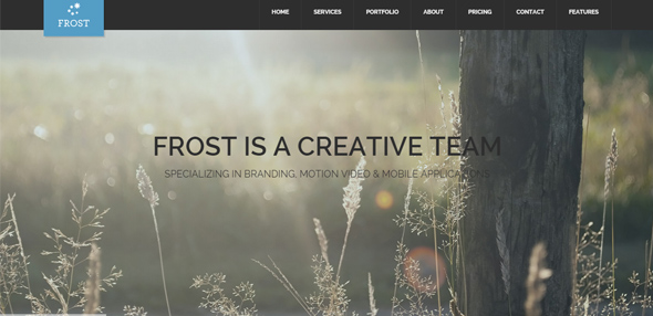 25 Wordpress theme bố cục dạng lưới cực sắc nét cho bạn tải về Frost---Multipurpose-One-Page-WordPress-Thiet ke website Wordpress