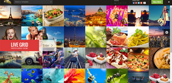 25 Wordpress theme bố cục dạng lưới cực sắc nét cho bạn tải về LIVE-GRID---Responsive-Interactive-Wordpress-Thiet ke website Wordpress
