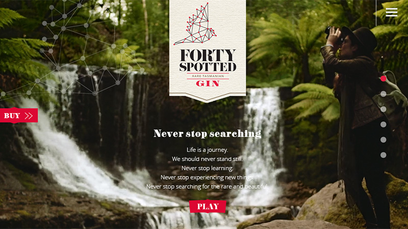 Forty Spotted Gin thiet ke website dep