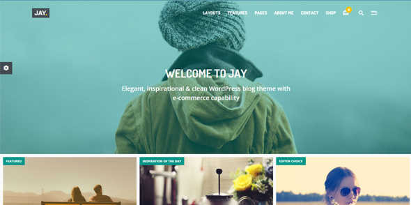 19 Wordpress theme tích hợp công nghệ retina cho bạn lựa chọn tải về Jay---Thiet ke website chuyen nghiep