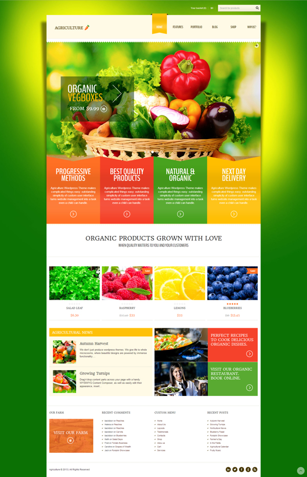 organic wordpress theme