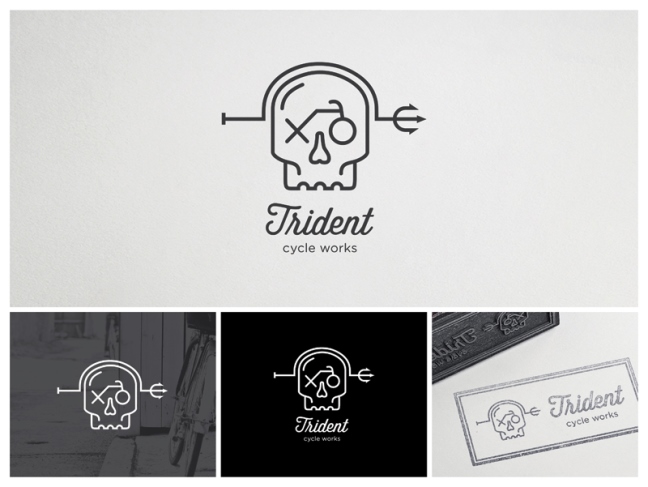 thiết kế nhận diện thương hiệu Trident Logo