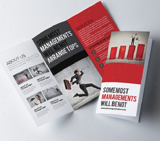 thiết kế nhận diện thương hiệu Tri Fold Business Brochure Bundle ấn tượng