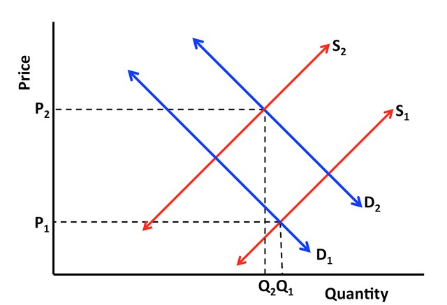 Quy luật cung cầu.jpg