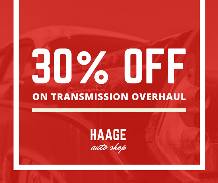 Haage Auto Shop màu mạnh mẽ và kiểu chữ nổi bật