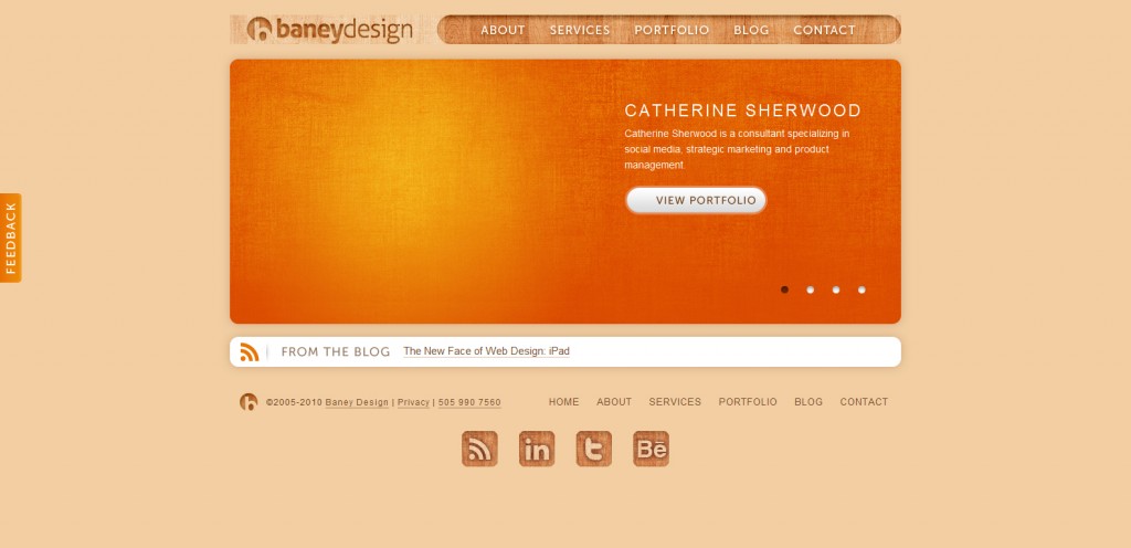 baneydesign 1024x496 51 Inspirational Orange Based Websites