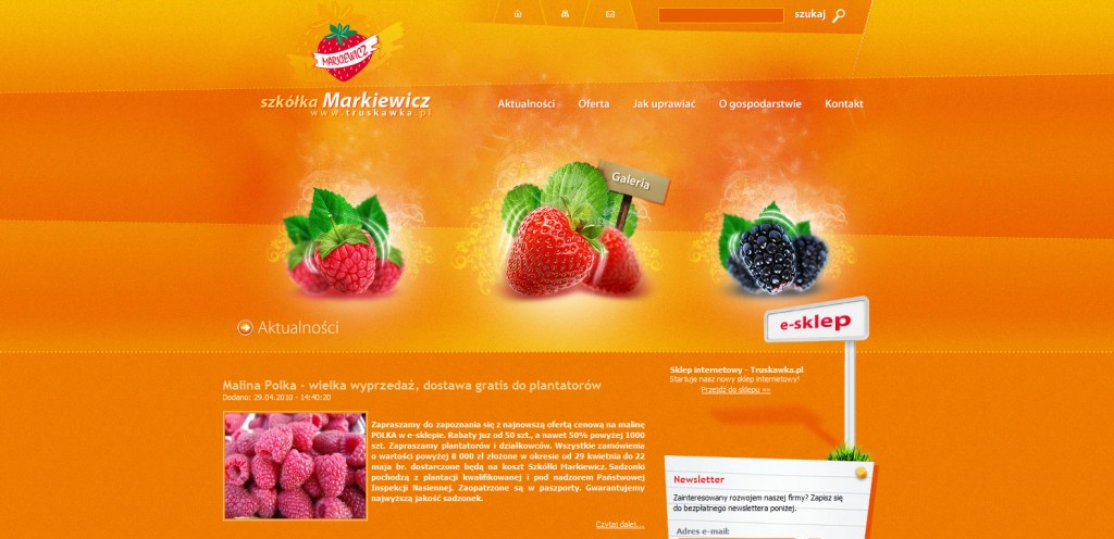 truskawka 1024x496 51 Inspirational Orange Based Websites