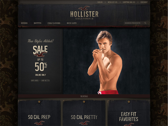 Textured website design example: Hollister Co.