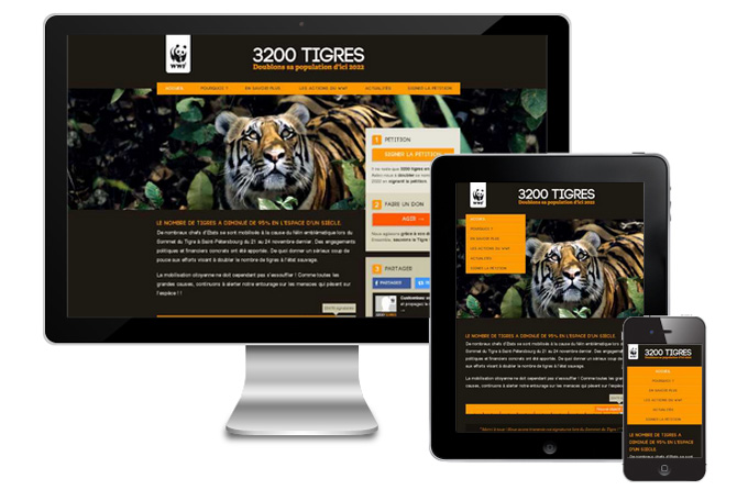 50 Thiết kế website công ty phù hợp với mọi nền tảng 50 Thiết kế website công ty phù hợp với mọi nền tảng