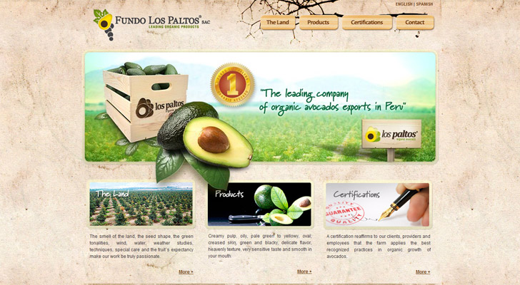 Hotel Website Designs