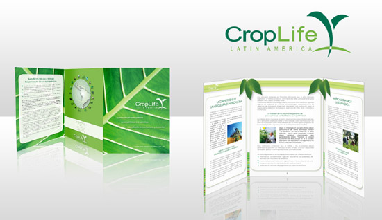 Phân biệt giữa Brochure và Company Profile