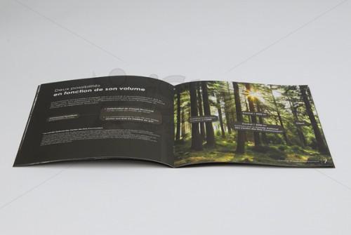 thiết kế brochure, thiet ke brochure, brochure, nhà in, in, ấn