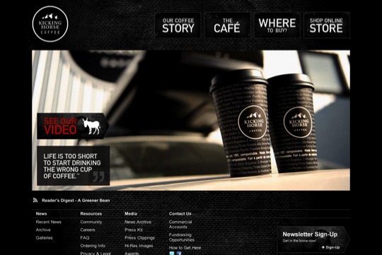 Mẫu thiết kế web cà phê 14