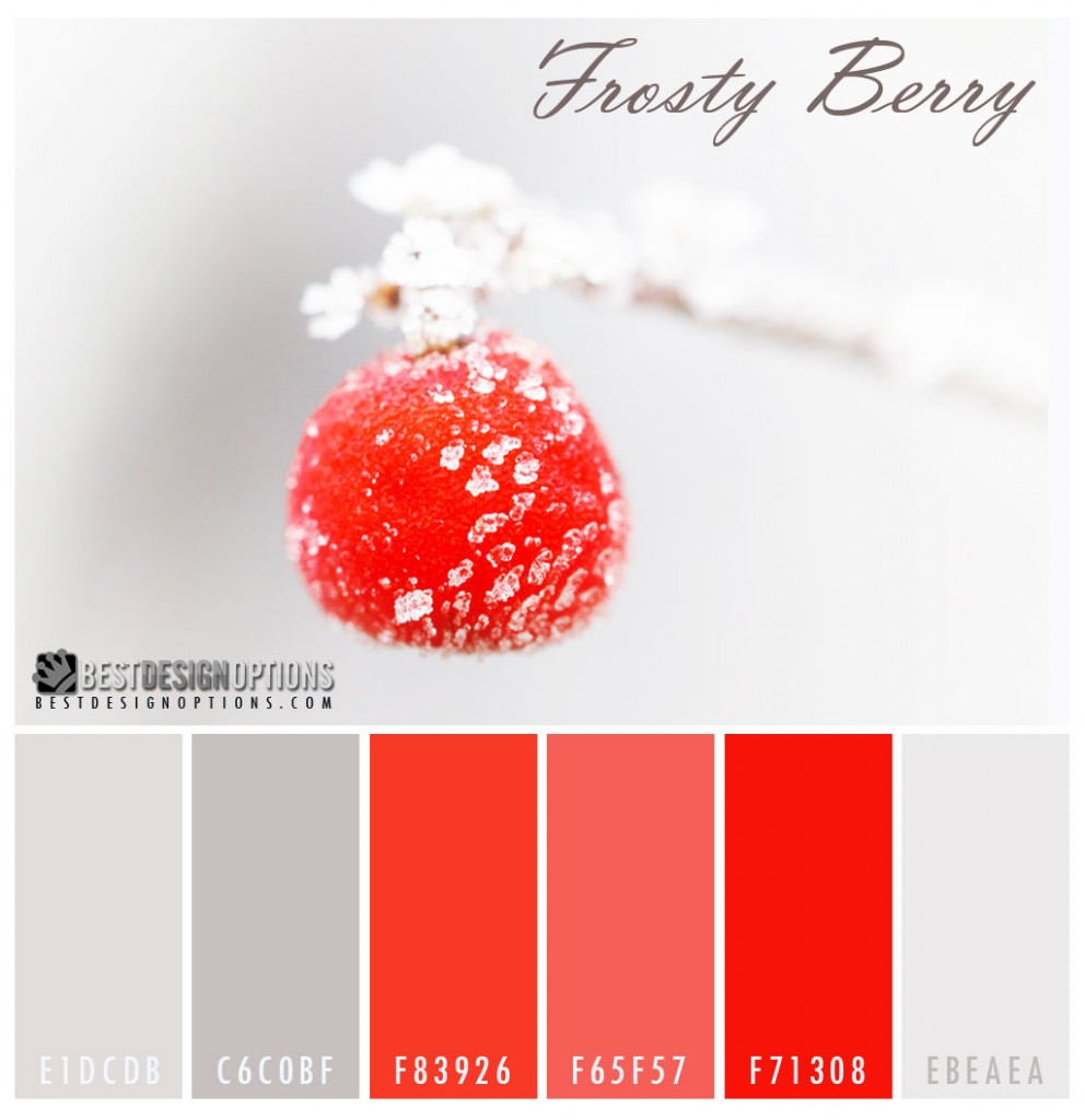 color-palette-winter-berry