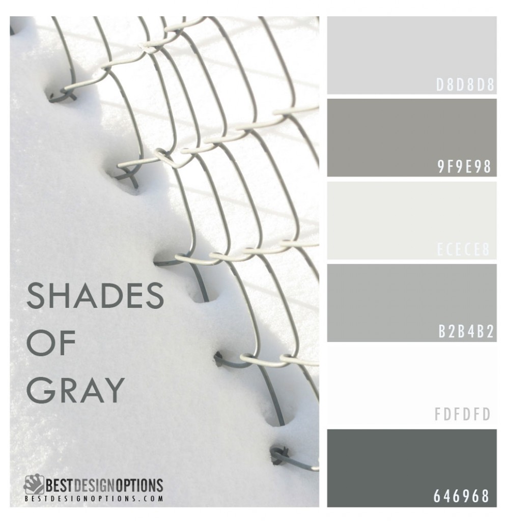color-palette-winter-gray