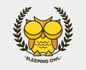 Sleeping Owl