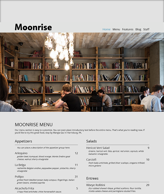 Moonrise WordPress Theme Organized Themes