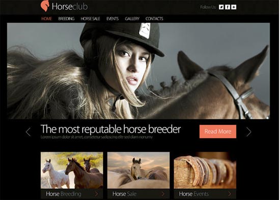 Free Horse Club HTML5 CSS3 Template