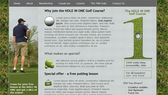 TheHoleInOne HTML5 and CSS3 Template