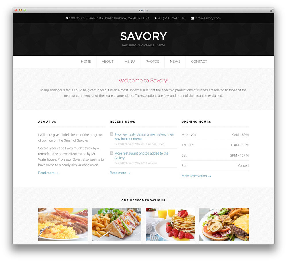 savory wordpress theme