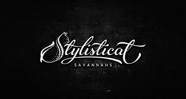 Stylish-Script-Logo-Design