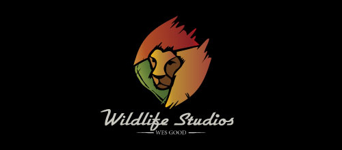 Multicolor Logo Designs Wildlife Studios