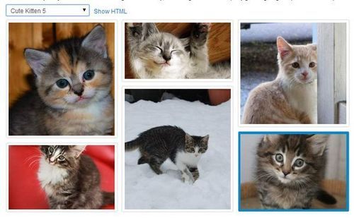 Miễn phí tải 50 jQuery Photo Gallery/Album cùng Tutorial (P.2) Image Picker