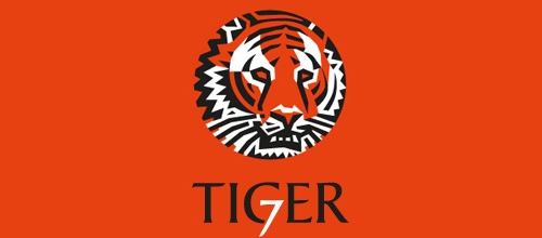 Software company orange tiger logo design ideas