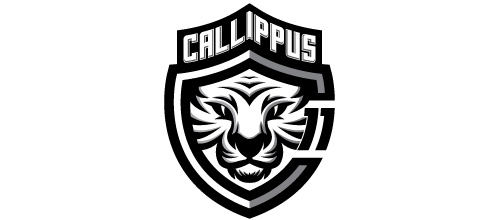 Soccer white tiger logo design ideas
