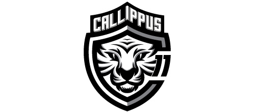 Hình ảnh chúa sơn lâm oai dũng trong 40 mẫu logo Soccer white tiger logo design ideas