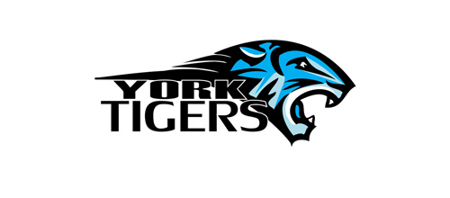 Hình ảnh chúa sơn lâm oai dũng trong 40 mẫu logo New York tiger logo design ideas