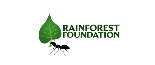 Leaf nature ant logo design ideas