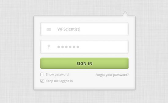 WP Login Form
