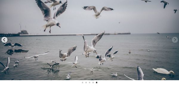 20+ Rotator/Slider jQuery Plugin miễn phí cho website (P.2)