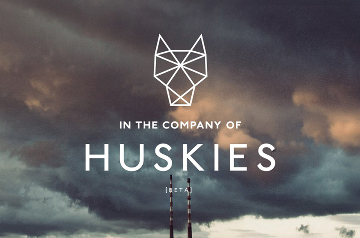 company of huskies