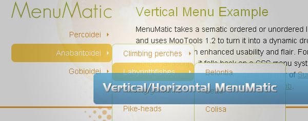 menumatic cho thiet ke web