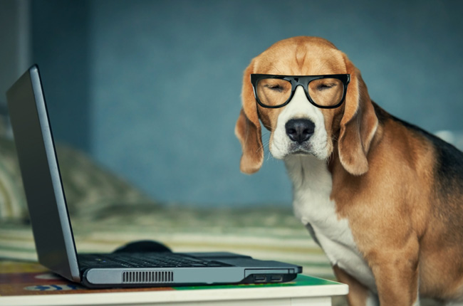 8 Web Usability Boosts That Take Under a Minute tang hieu qua thiet ke web 1