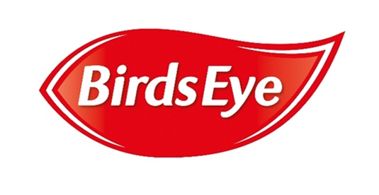 thiet ke logo birdseye