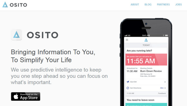 osito bo cuc thiet ke web